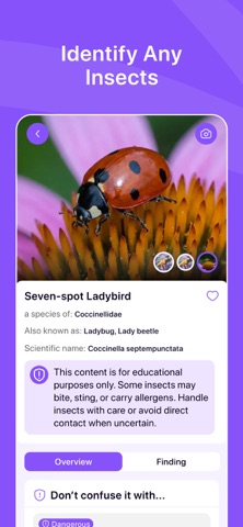 Insect Identifier: Scanner AI Screenshot 3 of 6