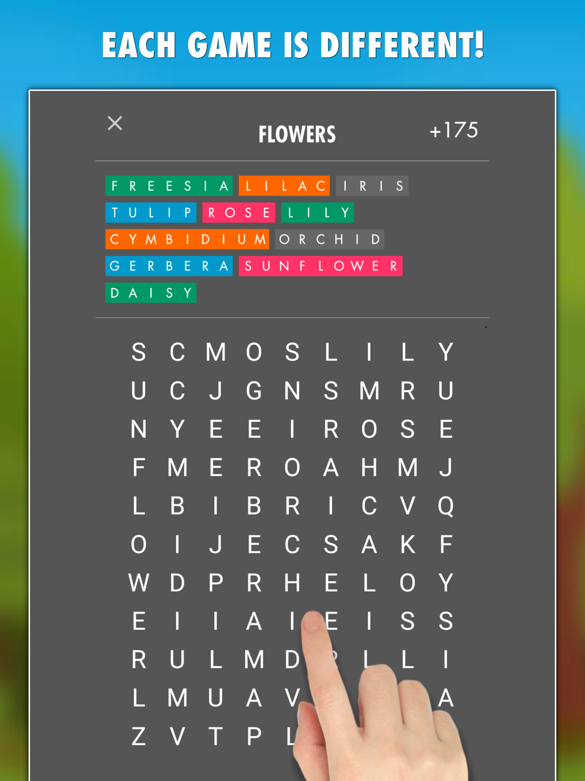 Word Search 1560