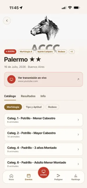 Caballos Criollos iPhone screenshot 2