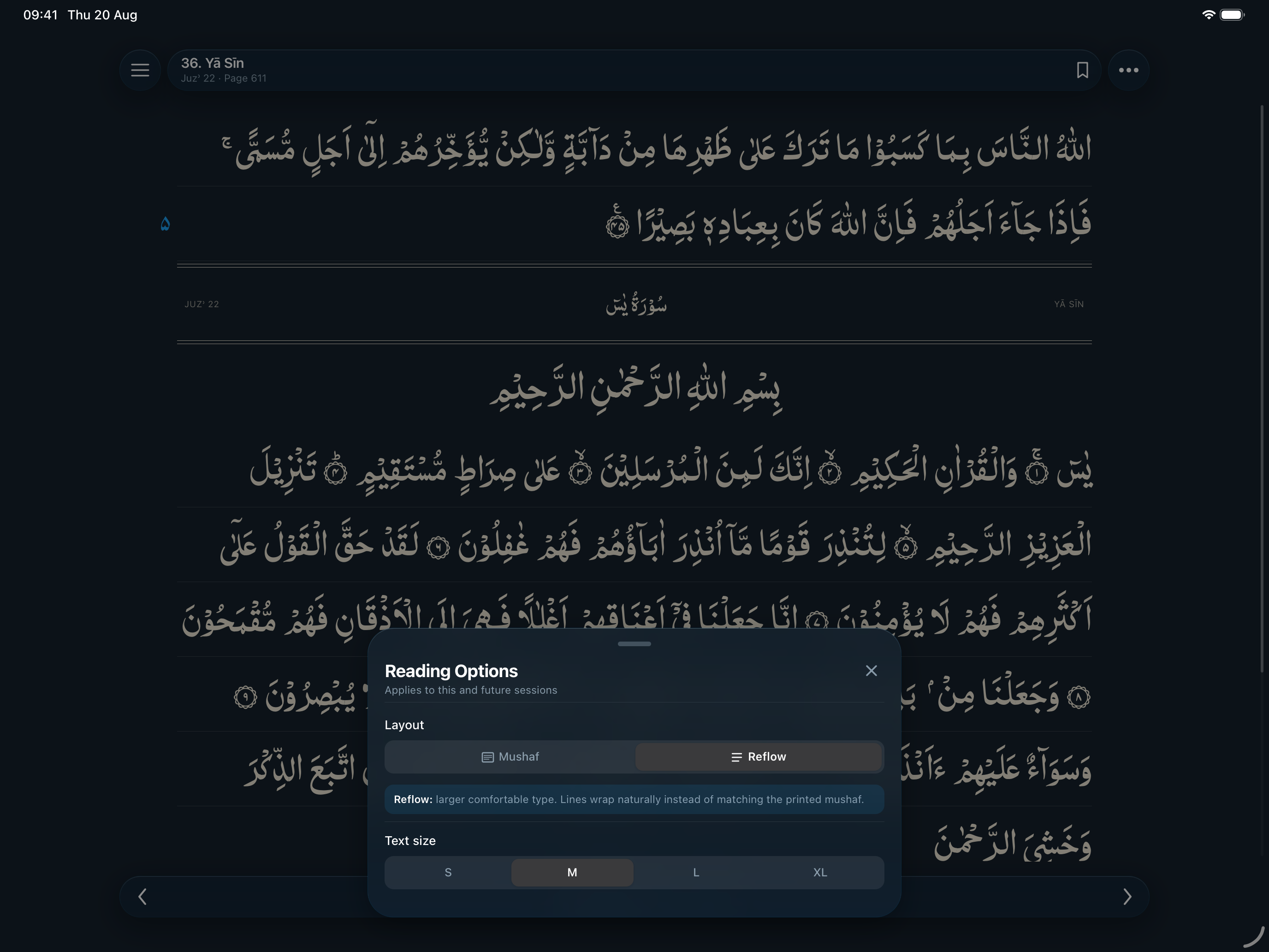 The Holy Quran screenshot 17