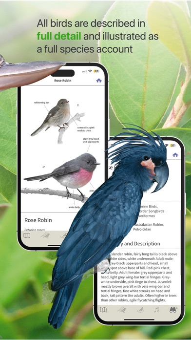 Birdly - BirdLife Australia Screenshot