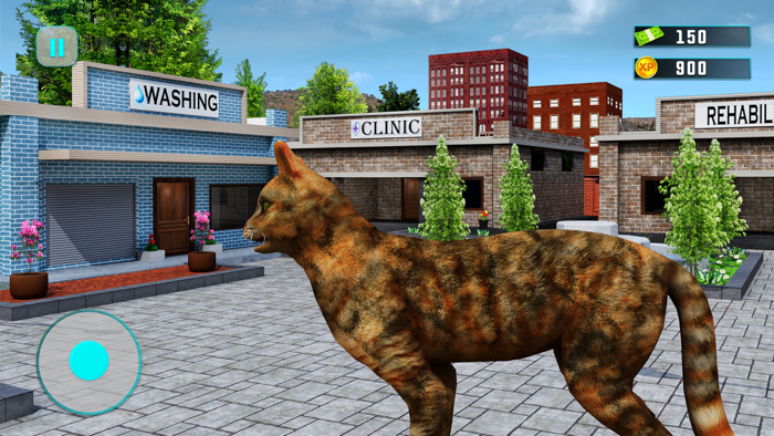 Virtual Pet Adoption Simulator