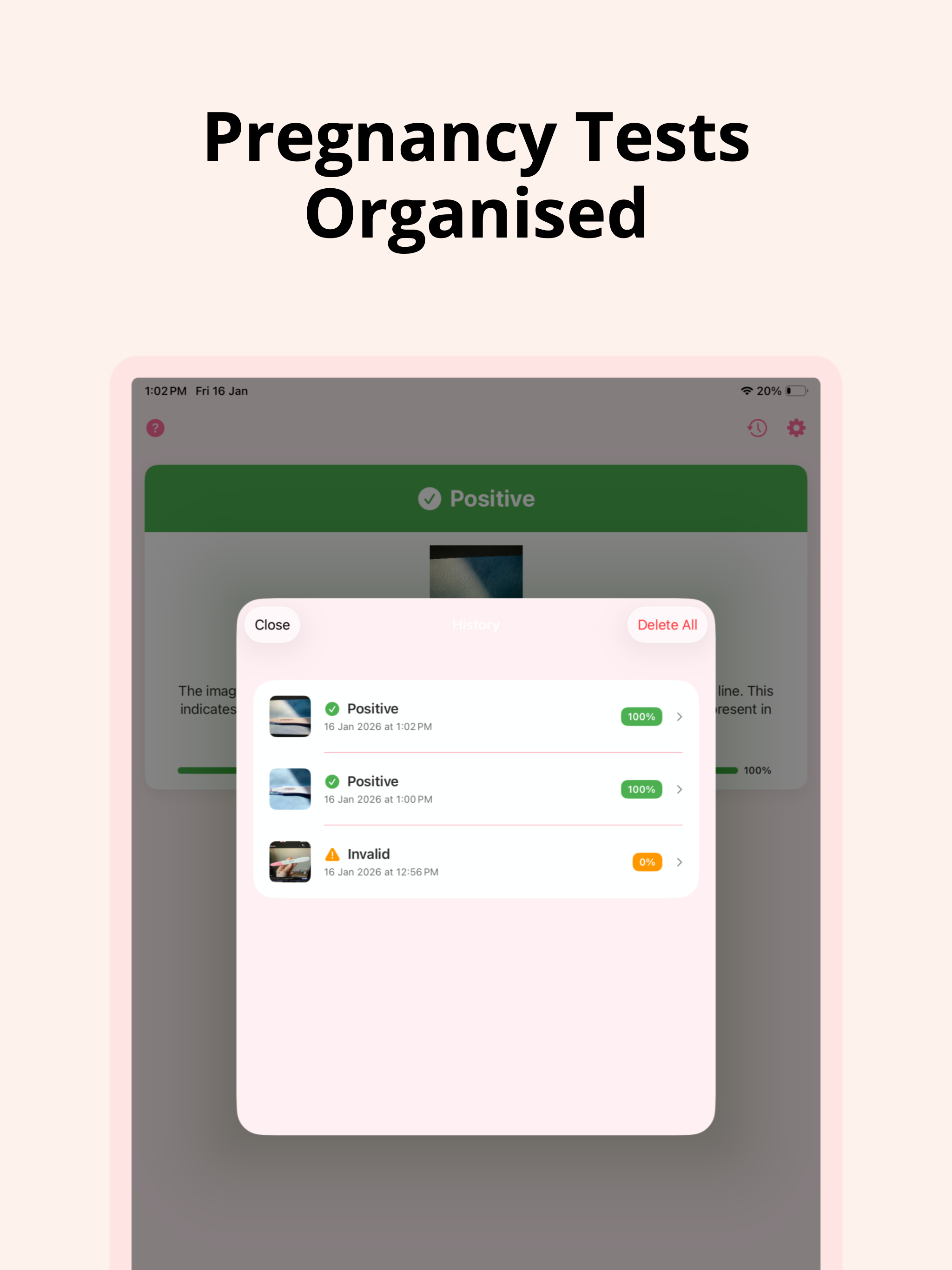 Pregnancy Test Checker: Linify