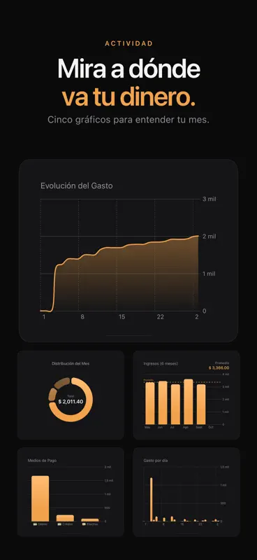 Toki: Control de Gastos screenshot 4 of 5