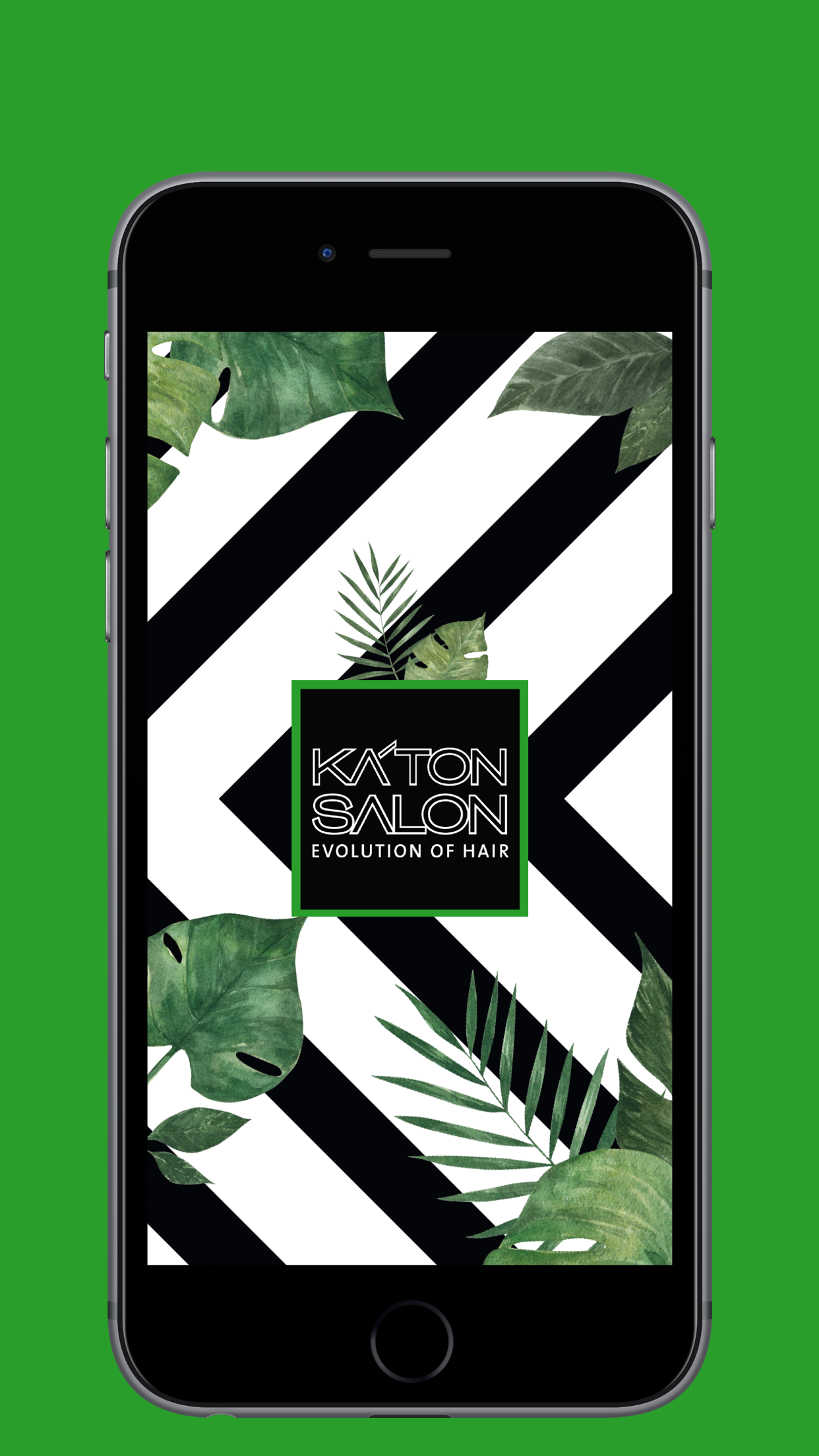 Ka'ton Salon Evolution of Hair