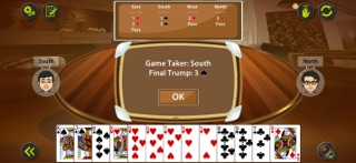 Auction Bridge & IB Card Game iPhone screenshot