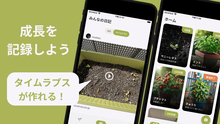 Medeta! - Start Home Gardening