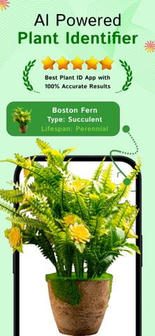 Picture Plant: Tree Identifier screenshot