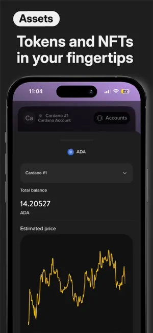 Lace Wallet screenshot 3
