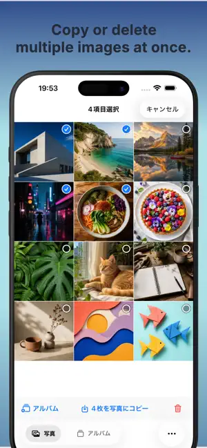 Second Camera Roll screenshot 4