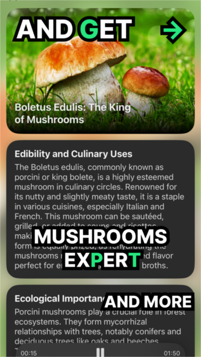 Identify All Plant Rock Art