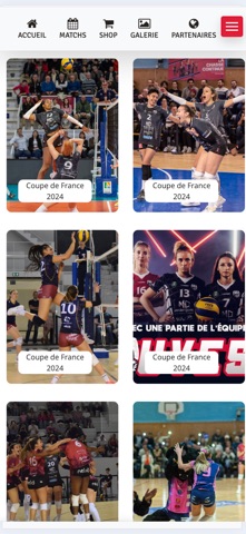 Les louves de Saint-Dié Volley iPhone screenshot