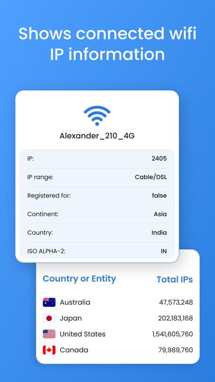 IP Tools - Network Debug Tool