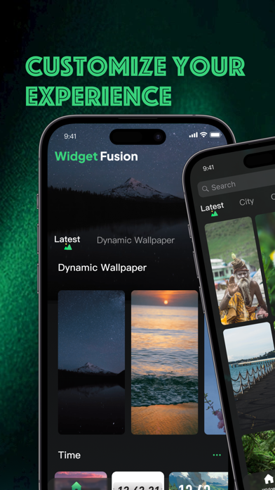 Widget Fusion Screenshot