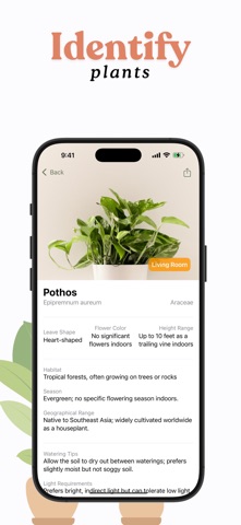 Plant Identifier: Plant+ screenshot