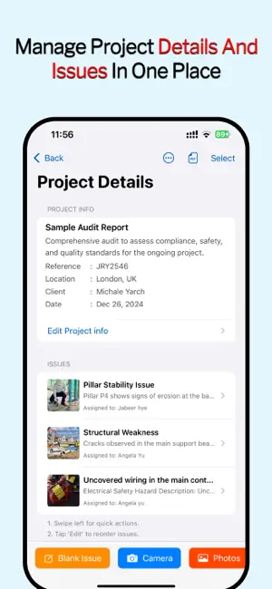 Audit Master -Site Check Pro screenshot 2