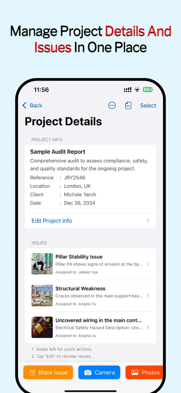 Screenshot #2 pour Audit Master -Site Check Pro