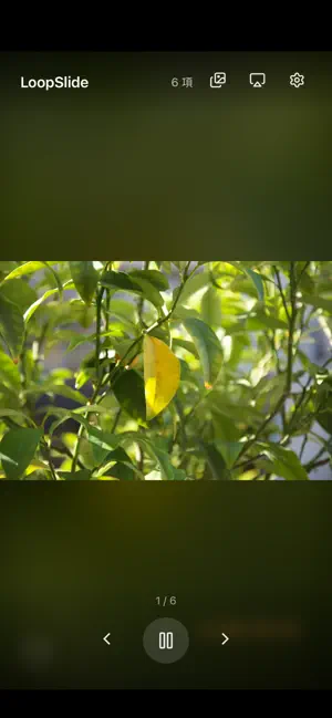 LoopSlide screenshot 3