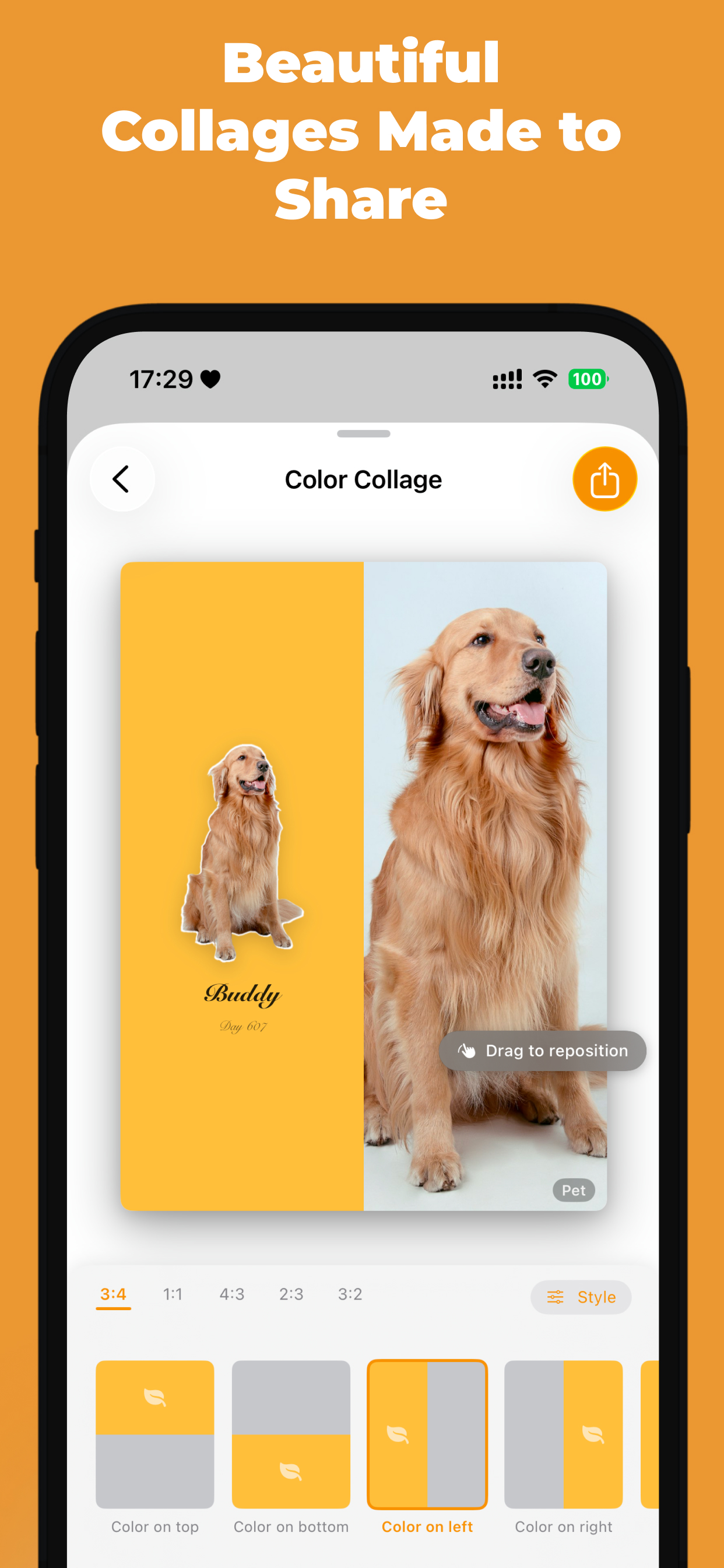 Pet Journal: Photo Diary Log