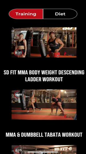 SD FIT-6 screenshot 4