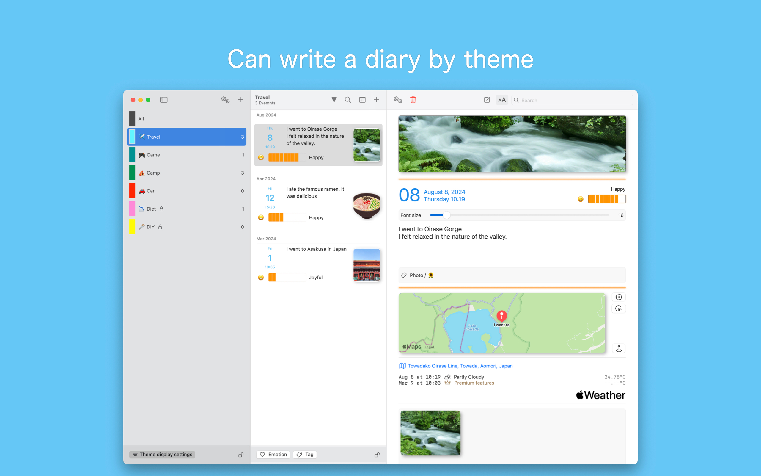 First diary, Theme Diary
