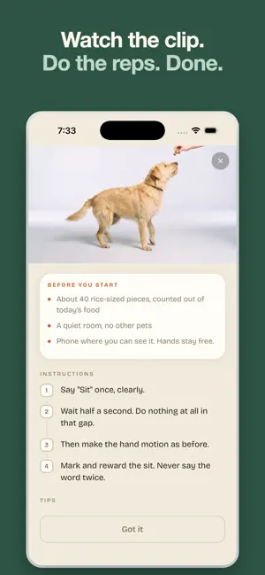 Smidge: Dog Training screenshot 2