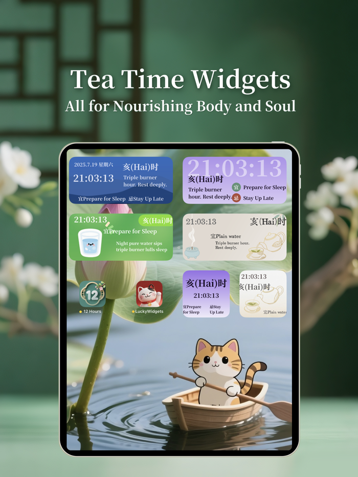 12 Hour Health Timer Pro