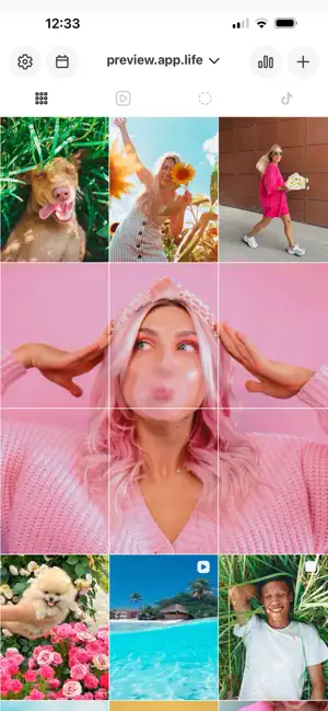 PREVIEW: Planner for Instagram screenshot 1