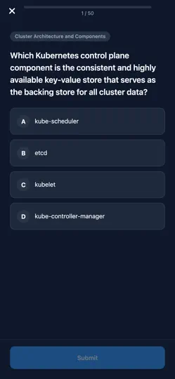 Capture d'écran de Kubernetes CKA Prep Master sur iPhone 3