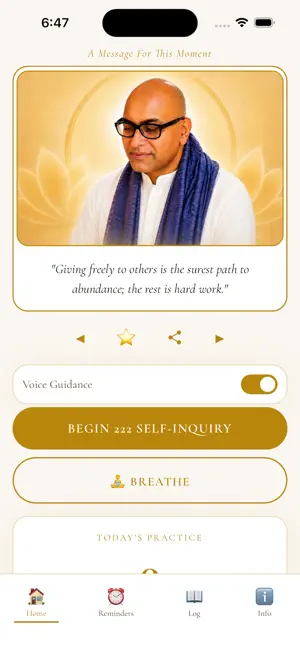 Advaita 222 Self Inquiry screenshot 1