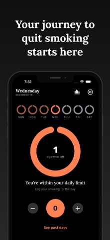Echo - Quit smoking & vaping iPhone screenshot