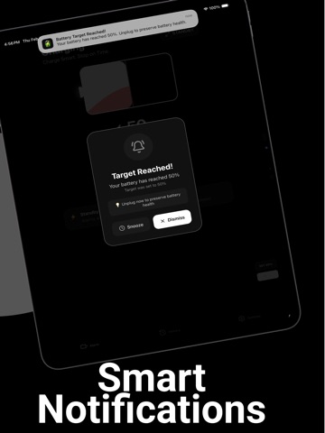 Battery Charge Monitor - Alarm iPad screenshot