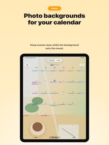 Daylog - All-in-One Calendar iPad screenshot