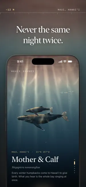 Whale Sounds: Sleep & Relax screenshot 2