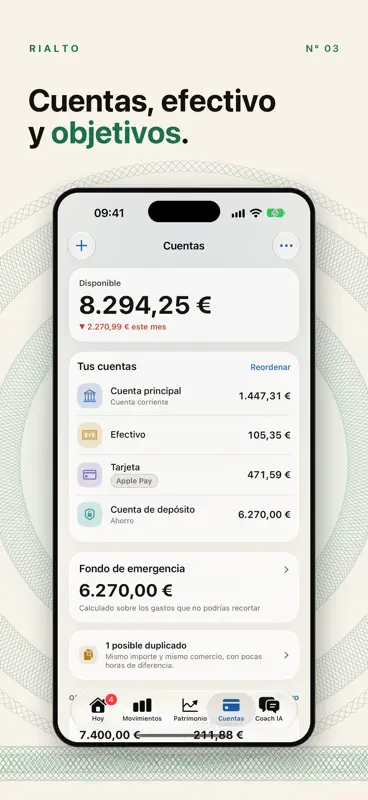 Rialto: Gastos e Inversión screenshot 3 of 7