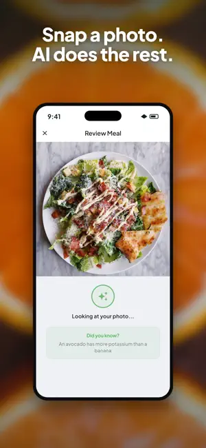 Wellix: Calories by Photo screenshot 1