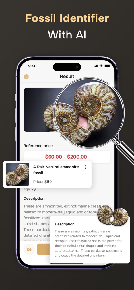 Fossil Identifier - Reference App | MWM