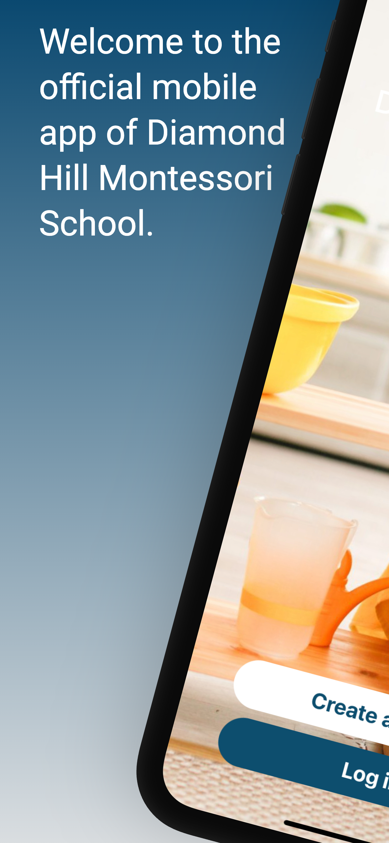 Diamond Hill Montessori School