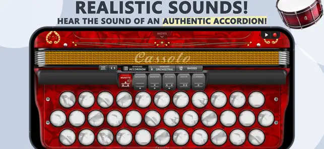 Accordion Diatonic Cassoto iPhone screenshot 1