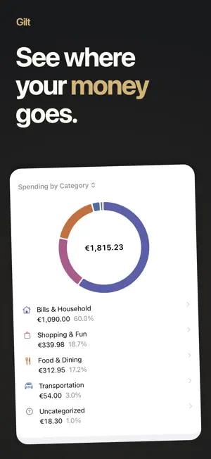 Gilt: Private Budget Tracker screenshot 2
