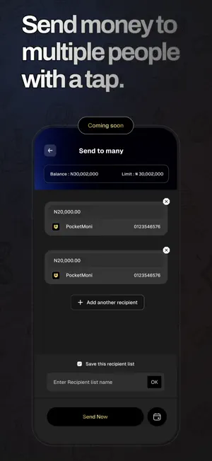 PocketMoni screenshot 4