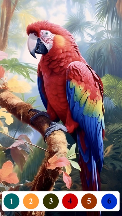 Senior Color - Paint By Number screenshot-7