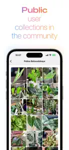 Cucullata: Plant collection screenshot #2 for iPhone