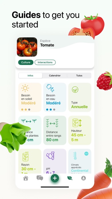 Tomate & Basilic- Permaculture Screenshot