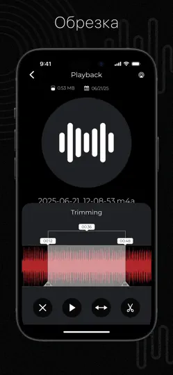 Скриншот Диктофон: Очиститель на iPhone 5