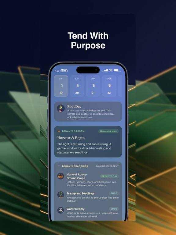 Moon Tending iPad screenshot