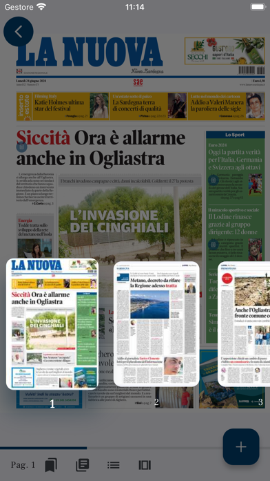 La Nuova Sardegna Digital Screenshot