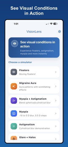 VisionLens Screenshot 5 of 5