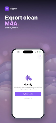 Hushly: Remove Audio Silence Screenshot 3 of 4