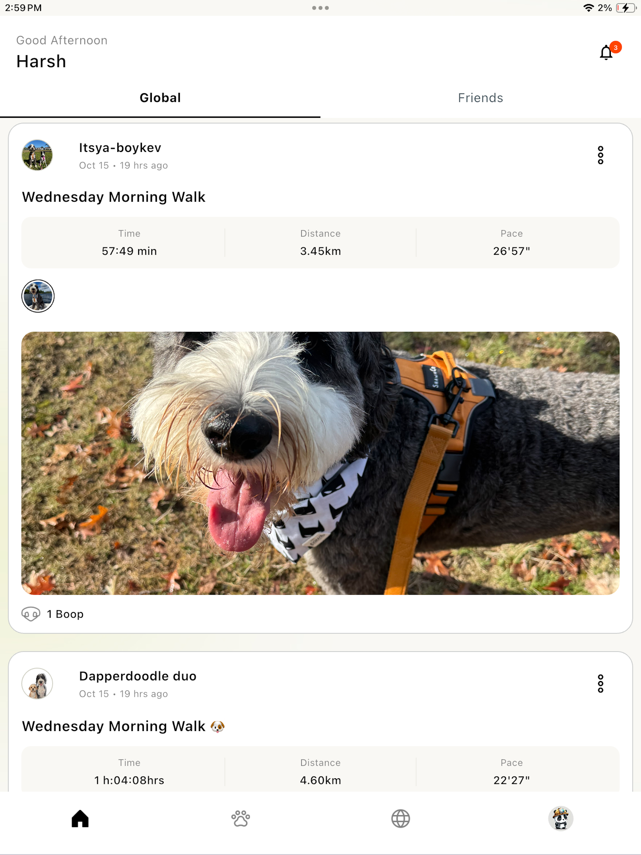 TreatWalk:Dog Walk GPS Tracker screenshot 11